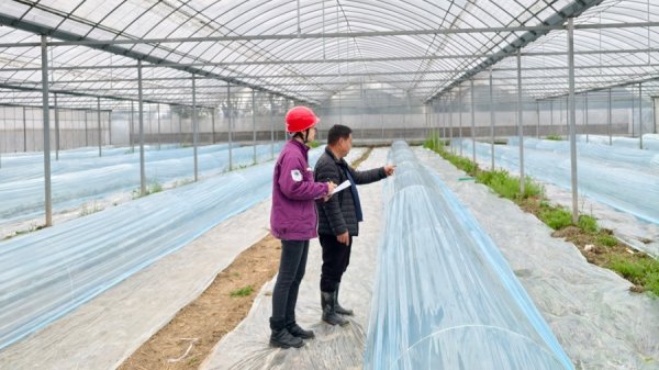 上海首个低压台区“巨型充电宝”护春耕，已持续15个月零故障运行