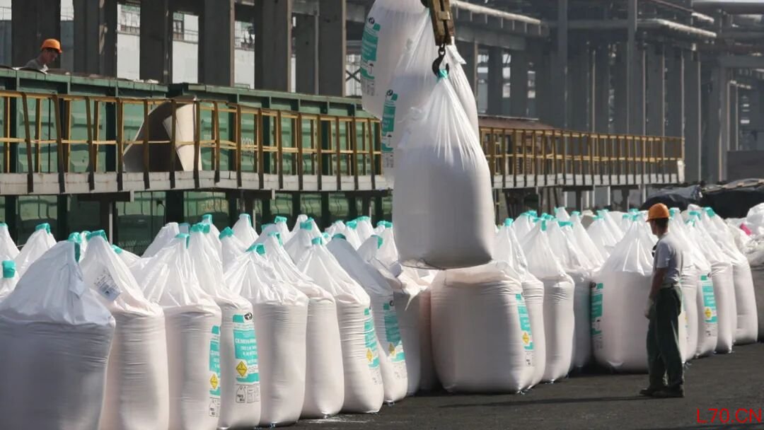 （图源/莫斯科时报）