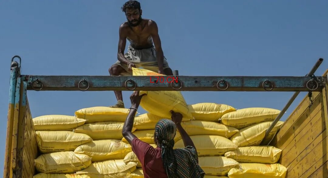 印度工人装卸化肥原料（图源/法新社）