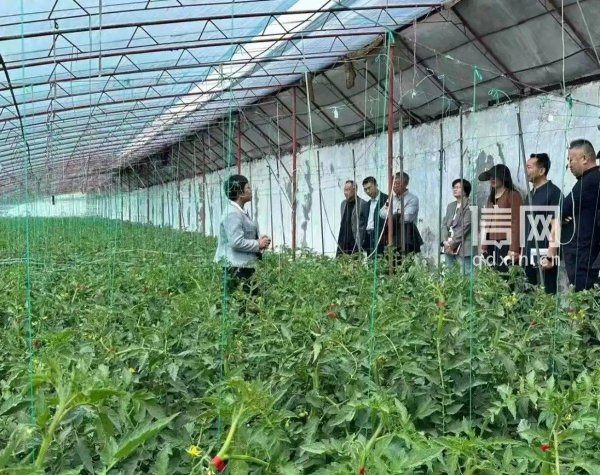 提质创牌助振兴 城阳聚力打造精装农品新名片