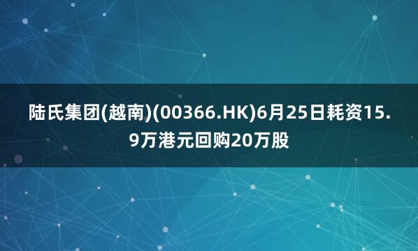 陆氏集团(越南)(00366.HK)6月25日耗资15.9万港元回购20万股