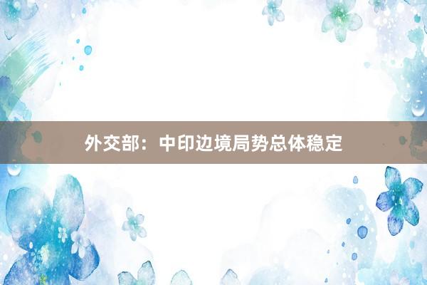 外交部：中印边境局势总体稳定