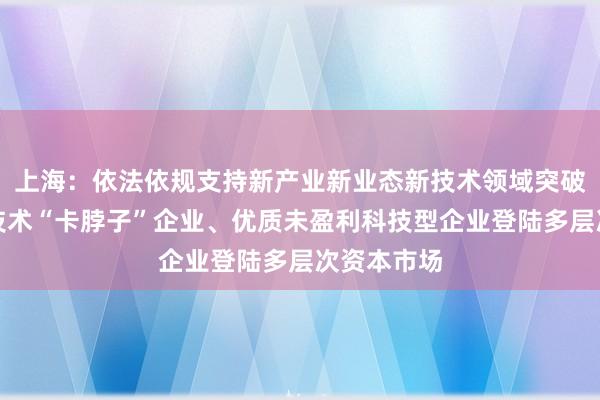 上海：依法依规支持新产业新业态新技术领域突破关键核心技术“卡脖子”企业、优质未盈利科技型企业登陆多层次资本市场