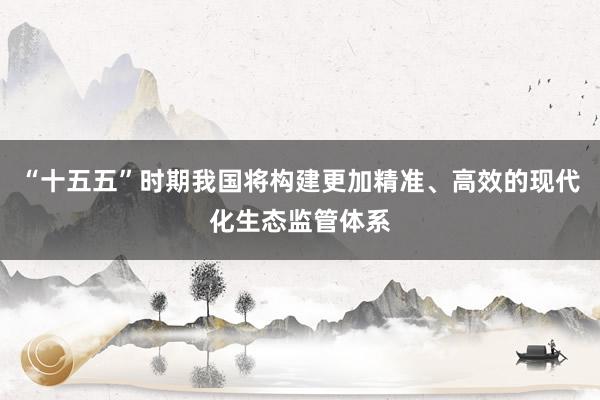 “十五五”时期我国将构建更加精准、高效的现代化生态监管体系