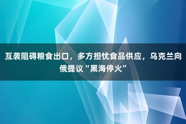互袭阻碍粮食出口，多方担忧食品供应，乌克兰向俄提议“黑海停火”