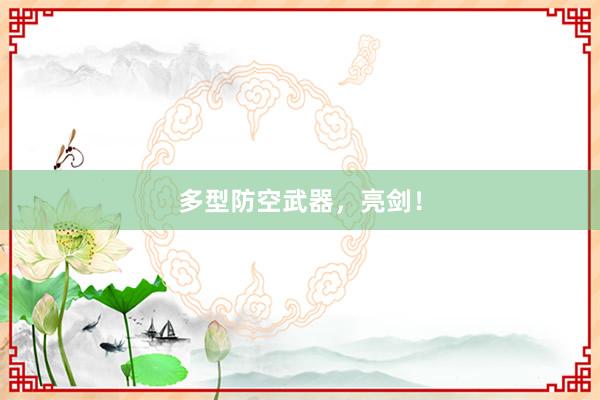 多型防空武器，亮剑！