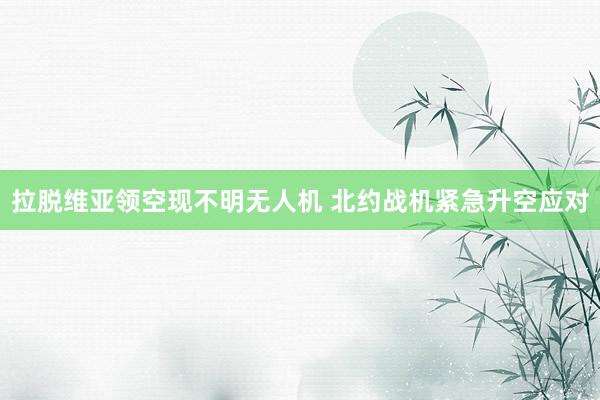 拉脱维亚领空现不明无人机 北约战机紧急升空应对