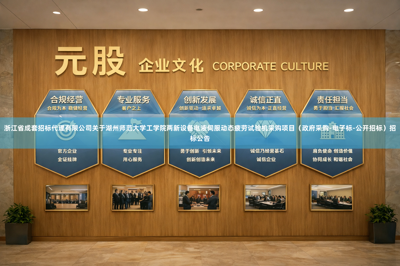 浙江省成套招标代理有限公司关于湖州师范大学工学院两新设备电液伺服动态疲劳试验机采购项目（政府采购-电子标-公开招标）招标公告