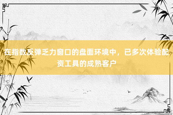 在指数反弹乏力窗口的盘面环境中，已多次体验配资工具的成熟客户