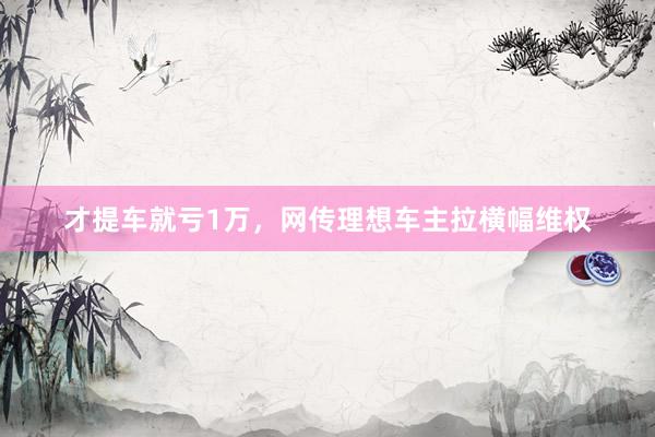 才提车就亏1万，网传理想车主拉横幅维权
