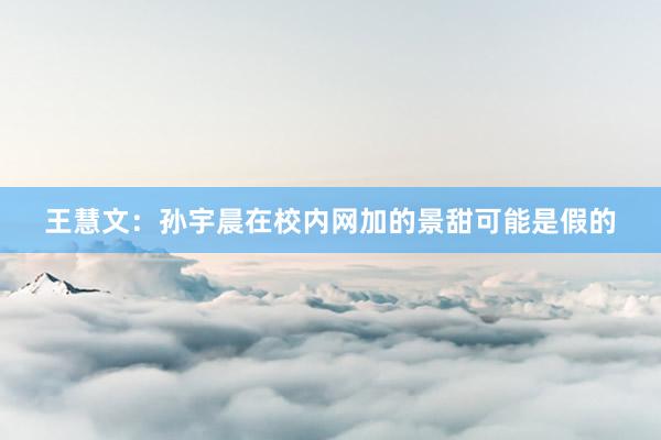 王慧文：孙宇晨在校内网加的景甜可能是假的