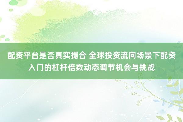 配资平台是否真实撮合 全球投资流向场景下配资入门的杠杆倍数动态调节机会与挑战