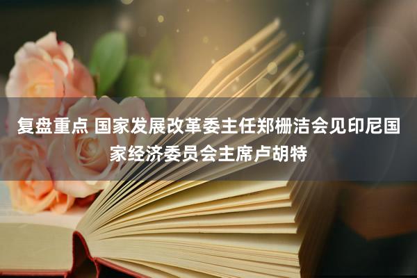 复盘重点 国家发展改革委主任郑栅洁会见印尼国家经济委员会主席卢胡特