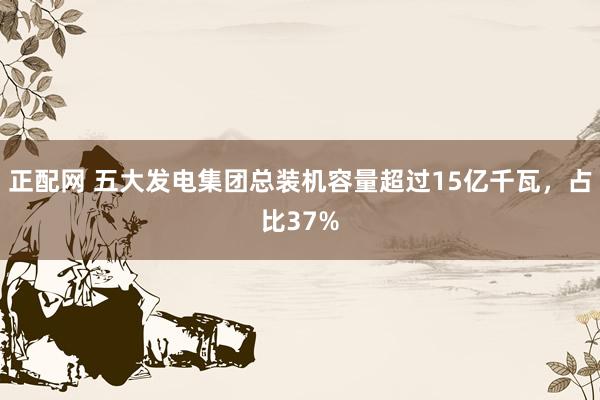 正配网 五大发电集团总装机容量超过15亿千瓦，占比37%