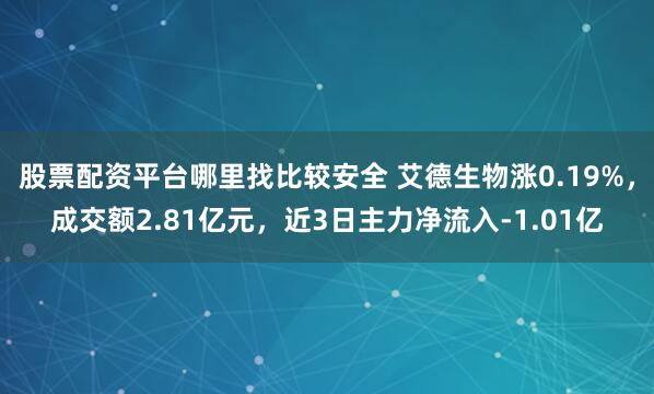 股票配资平台哪里找比较安全 艾德生物涨0.19%,成交额2.81亿元,近3日主力净流入-1.01亿