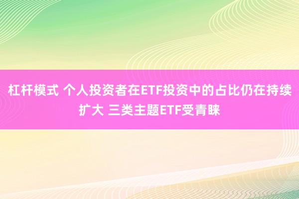 杠杆模式 个人投资者在ETF投资中的占比仍在持续扩大 三类主题ETF受青睐