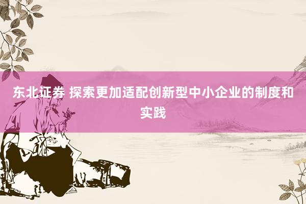 东北证券 探索更加适配创新型中小企业的制度和实践